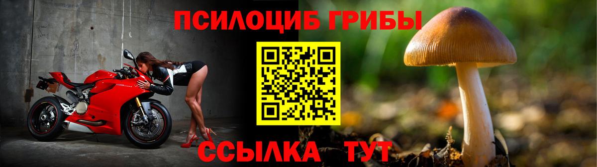 Галлюциногенные грибы Magic Shrooms  Вход с VPN  купить наркотик  Уварово 